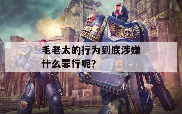 毛老太的行为到底涉嫌什么罪行呢？