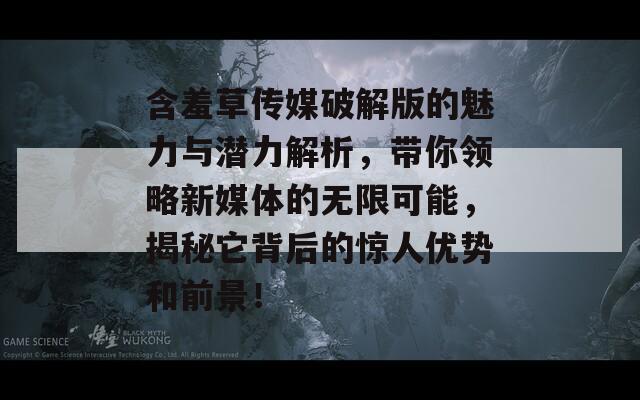 含羞草传媒破解版的魅力与潜力解析，带你领略新媒体的无限可能，揭秘它背后的惊人优势和前景！