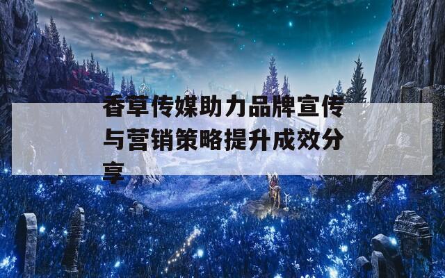 香草传媒助力品牌宣传与营销策略提升成效分享