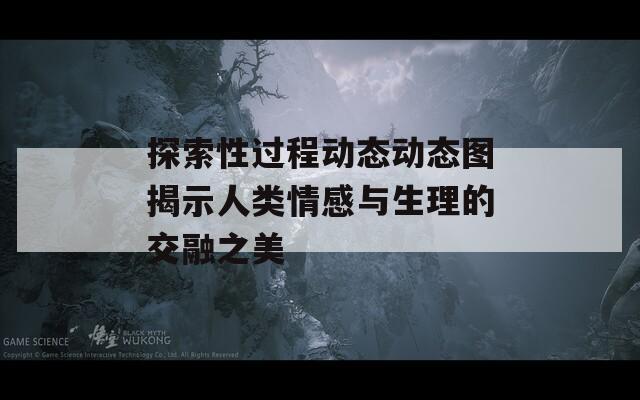探索性过程动态动态图揭示人类情感与生理的交融之美