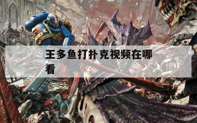 王多鱼打扑克视频在哪看