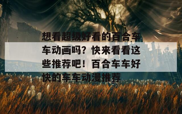 想看超级好看的百合车车动画吗？快来看看这些推荐吧！百合车车好快的车车动漫推荐