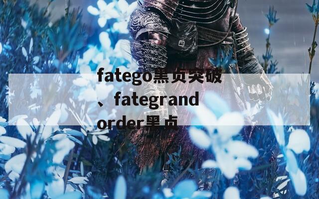 fatego黑贞突破、fategrandorder黑贞