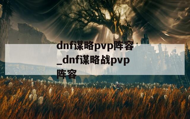 dnf谋略pvp阵容_dnf谋略战pvp阵容