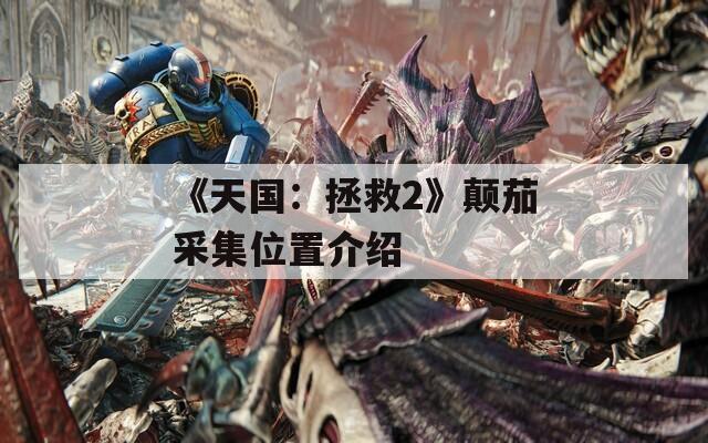 《天国：拯救2》颠茄采集位置介绍