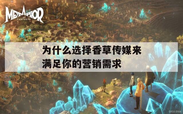 为什么选择香草传媒来满足你的营销需求