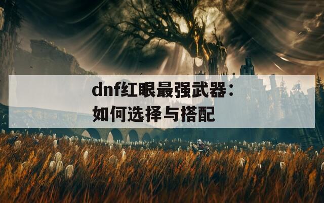 dnf红眼最强武器：如何选择与搭配