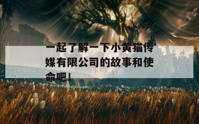 一起了解一下小黄猫传媒有限公司的故事和使命吧！