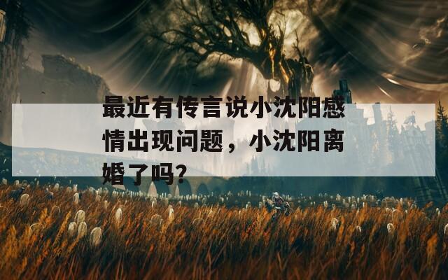 最近有传言说小沈阳感情出现问题，小沈阳离婚了吗？