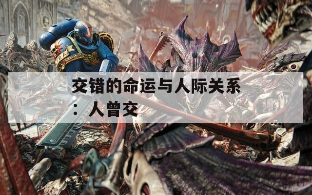 交错的命运与人际关系：人曾交