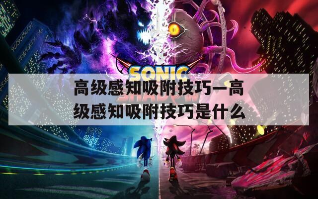 高级感知吸附技巧—高级感知吸附技巧是什么