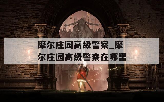 摩尔庄园高级警察_摩尔庄园高级警察在哪里