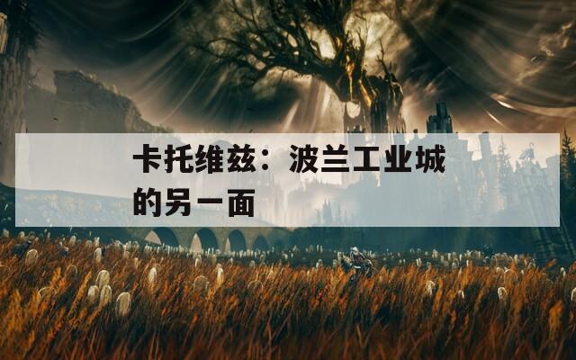 卡托维兹：波兰工业城的另一面